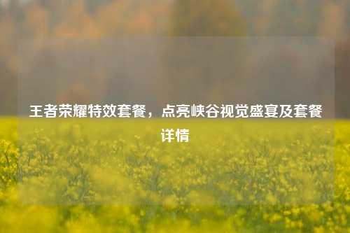 王者荣耀特效套餐，点亮峡谷视觉盛宴及套餐详情