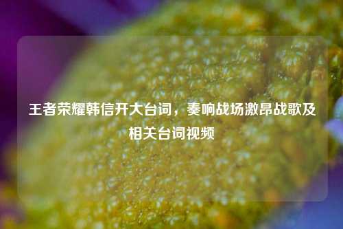 王者荣耀韩信开大台词，奏响战场激昂战歌及相关台词视频