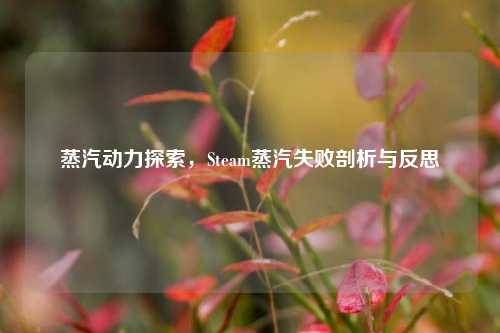 蒸汽动力探索，Steam蒸汽失败剖析与反思