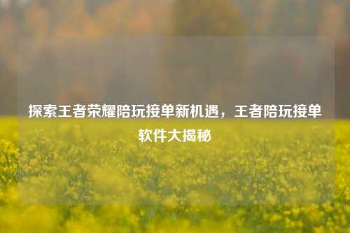 探索王者荣耀陪玩接单新机遇，王者陪玩接单软件大揭秘