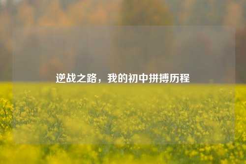 逆战之路，我的初中拼搏历程