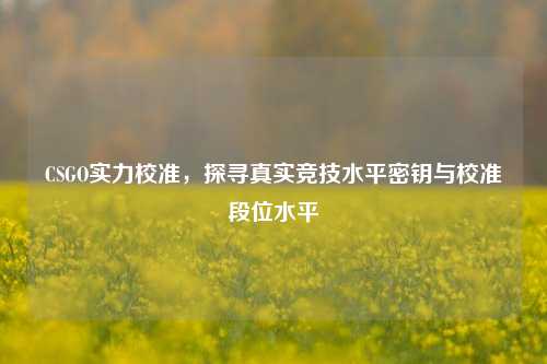 CSGO实力校准，探寻真实竞技水平密钥与校准段位水平