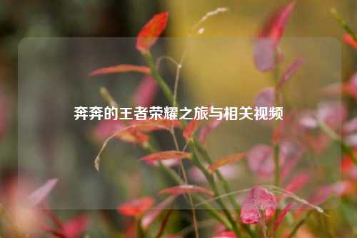 奔奔的王者荣耀之旅与相关视频