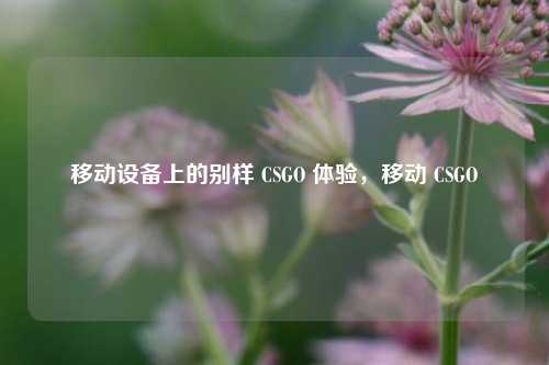 移动设备上的别样 CSGO 体验，移动 CSGO
