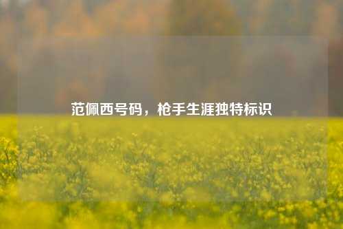 范佩西号码，枪手生涯独特标识