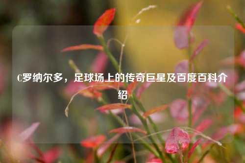 C罗纳尔多，足球场上的传奇巨星及百度百科介绍