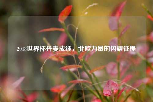 2018世界杯丹麦成绩，北欧力量的闪耀征程