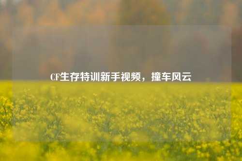 CF生存特训新手视频，撞车风云