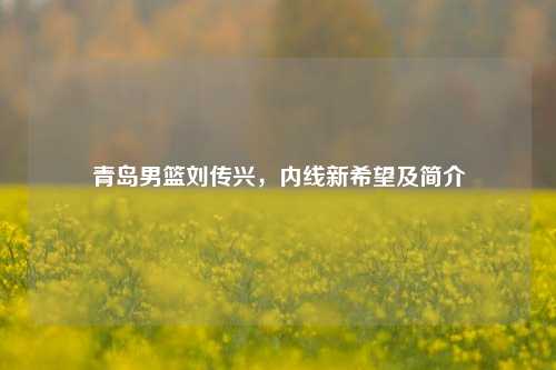 青岛男篮刘传兴，内线新希望及简介