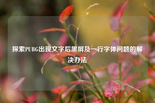 探索PUBG出现文字后黑屏及一行字体问题的解决办法