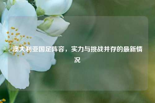 澳大利亚国足阵容，实力与挑战并存的最新情况