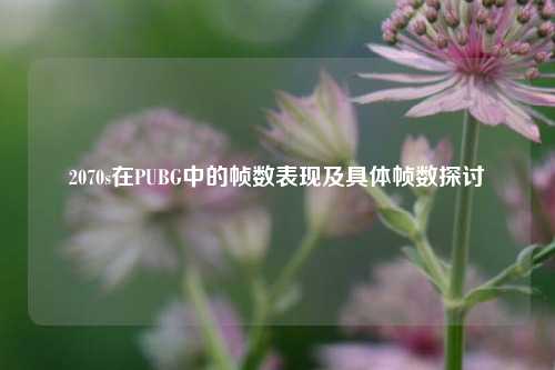 2070s在PUBG中的帧数表现及具体帧数探讨
