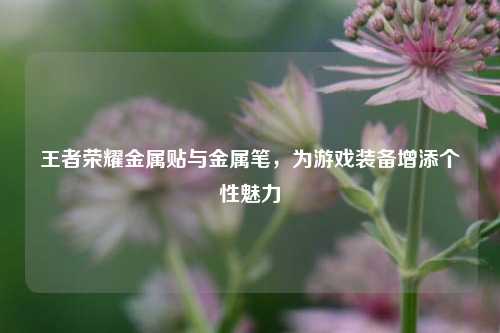 王者荣耀金属贴与金属笔，为游戏装备增添个性魅力